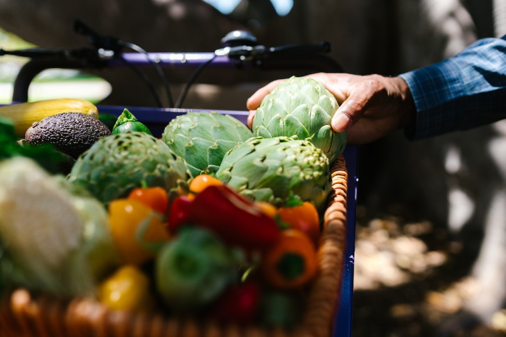 High-Protein Vegetables Artichoke 