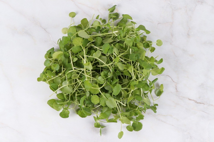 High-Protein Vegetables Watercress