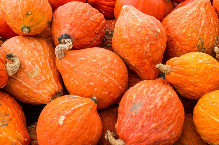 High-Protein Vegetables Hubbard squash