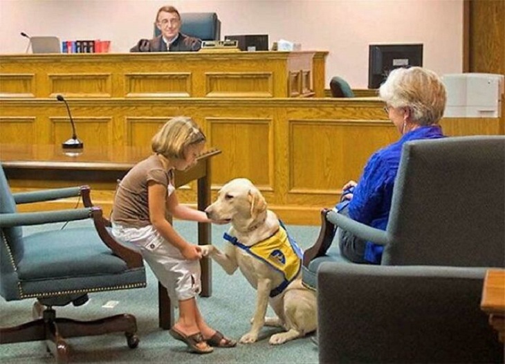 Dogs with Jobs, courthouse facility dog 