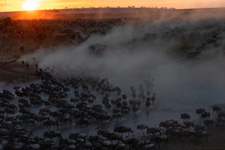 Greatest Maasai Mara Photographer of the Year 2022 Sunrise Crossing Charlie Wemyaa-Dunn (USA)