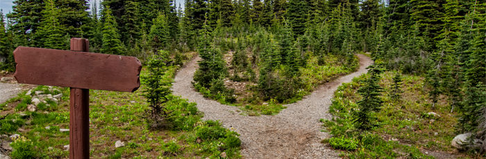 Coisas que temos que parar de fazer encruzilhada na floresta