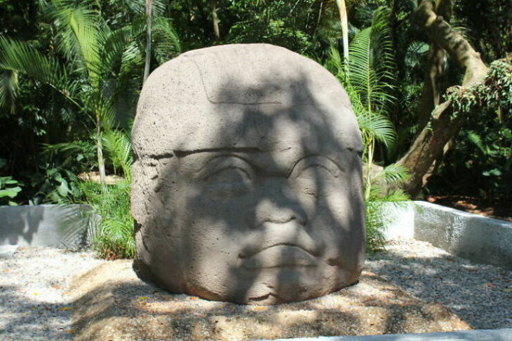Historical Facts Olmec Colossal Heads (1,500 - 400 BC)