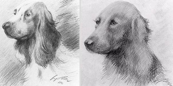 Hitler's art, sketch of a dog 