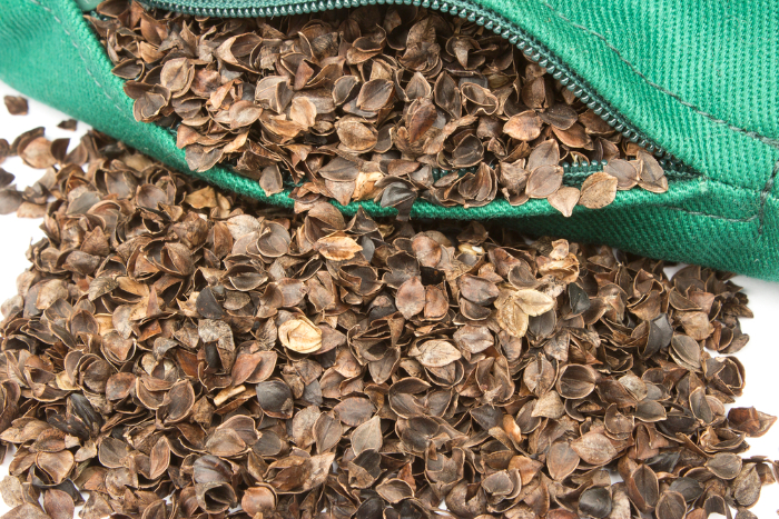 buckwheat pillow closeup