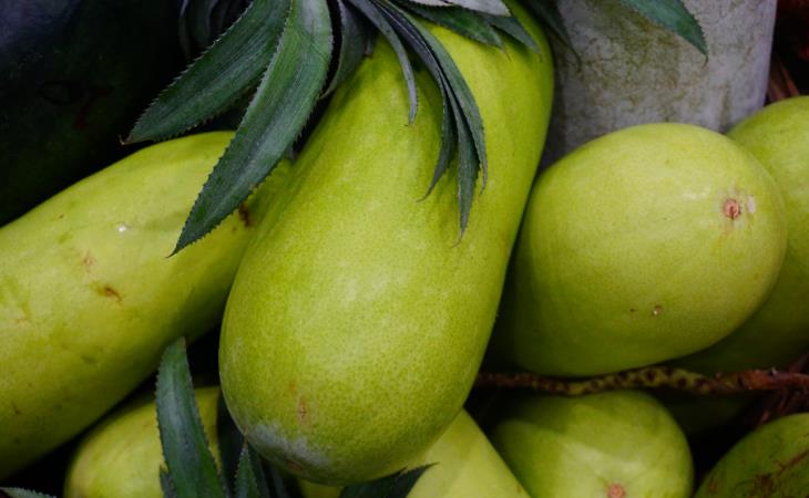 Winter melon, or ash gourd