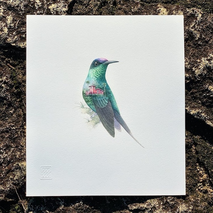 Animal Paintings, hummingbird
