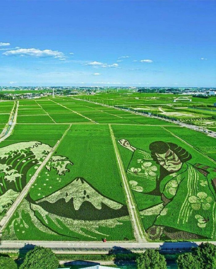 Oddly satisfying, Japanese rice field art