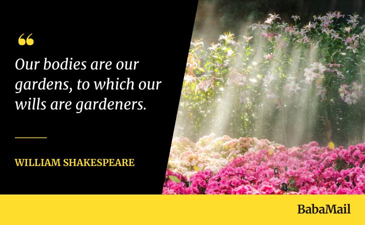 Self-Care Quotes, garden