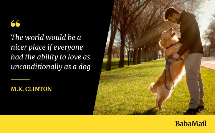Quotes about Dogs, 
