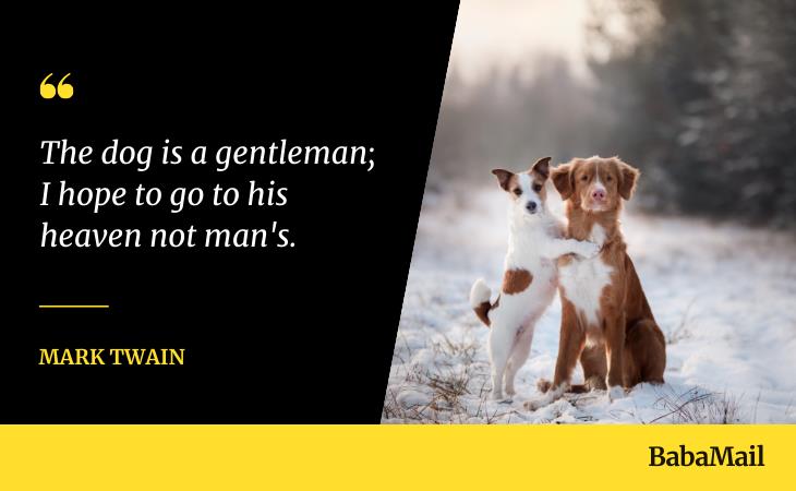 Quotes about Dogs, 