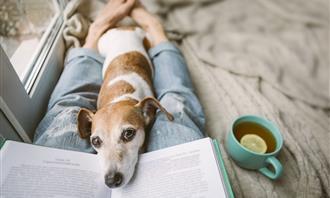 Picture and click test: dog on a book