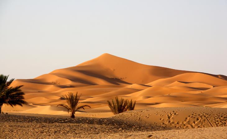 Facts About the Sahara Desert, 