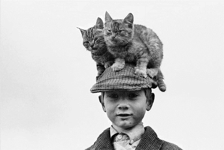 Weird But Hilarious Vintage Photos of Animals