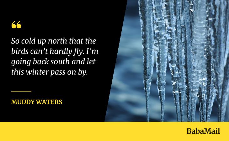 Quirky Winter Quotes