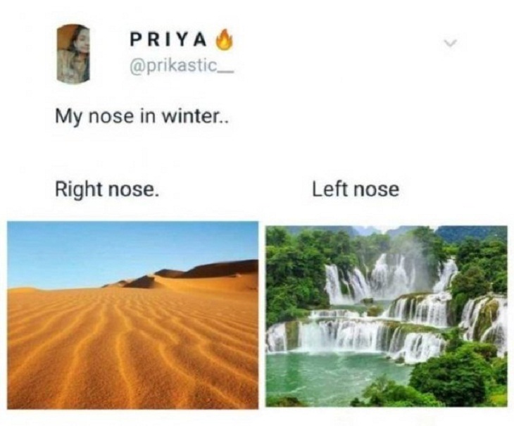 hilarious winter memes