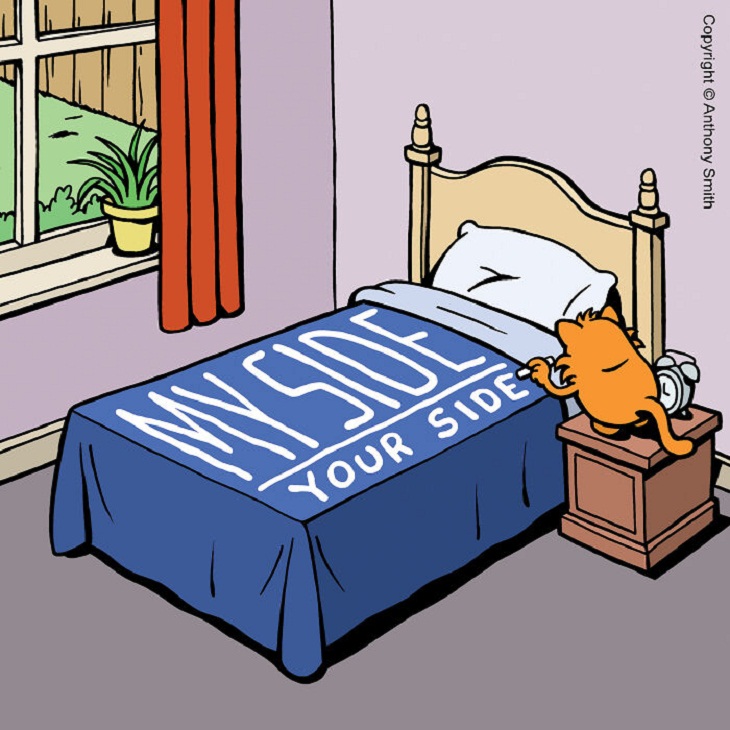 Hilarious Cat Comics 