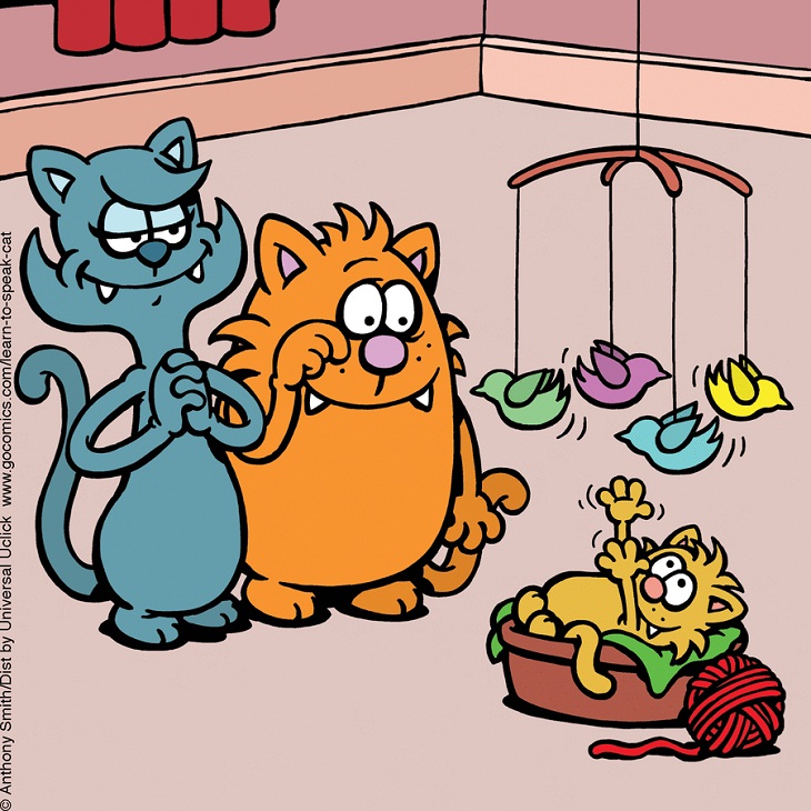 Hilarious Cat Comics 