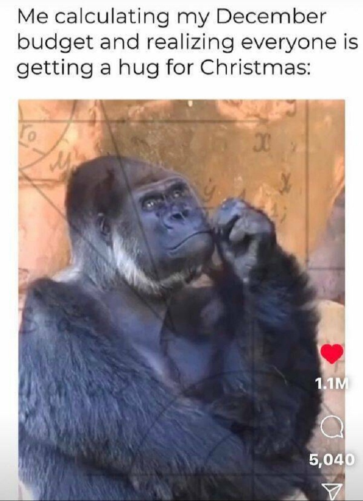 Christmas Memes 