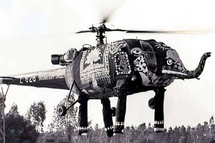 Around 1970, helicopters belonging to the Indian Air Force were specially outfitted for ceremonial flights. They sported unique "clothing" or decorations that added flair and symbolism to these important events.