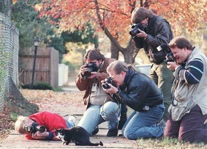 1992 saw a confused Sox, the cat belonging to the Clintons, getting a lot of paparazzi attention.
