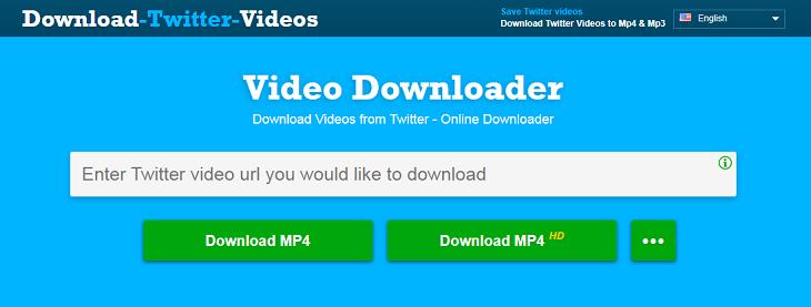 Download Any Video Online