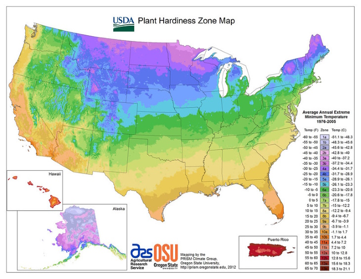 What to Plant in February USDA Plant Map