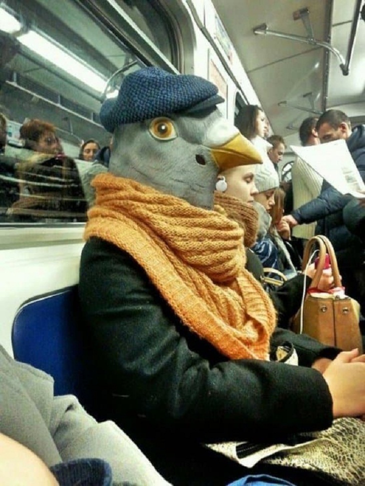 Strange People in the Subway, bird