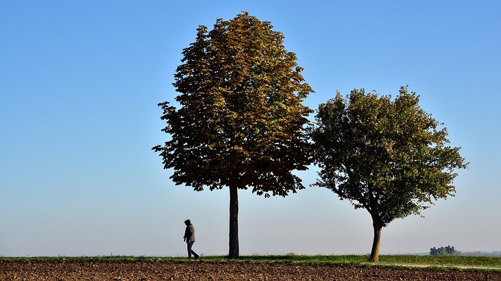 person near a tree