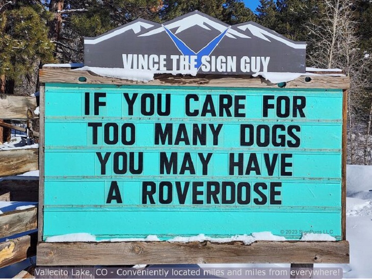 Hilarious Roadside Signs, dogs