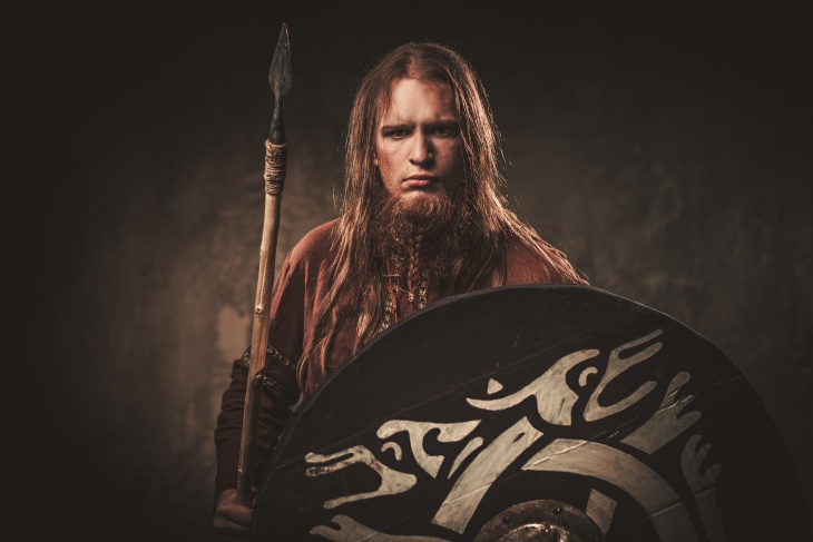 Famous Paradoxes Viking with a spear and shield