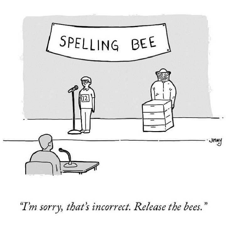 One-Panel Comics, spelling bee