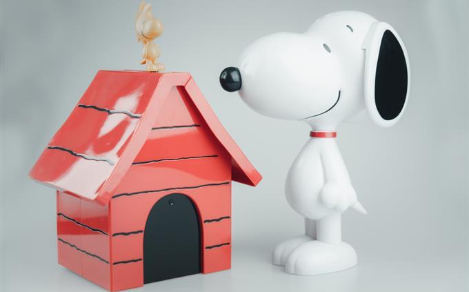 General knowledge trivia test: Snoopy