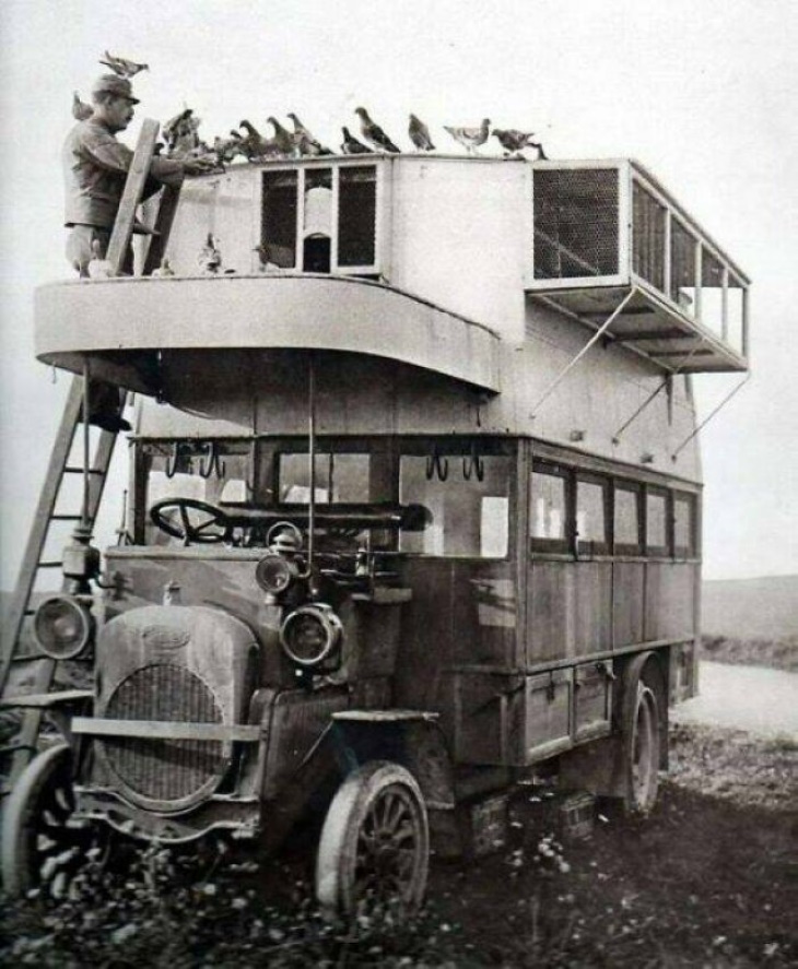 Historical Photos "A “Pigeon Bus” From Wwi, Served As Collecting Point For Messenger Pigeons From The Front Lines"