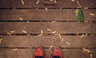 Find the differences in autumn: leaves on a wooden floor
