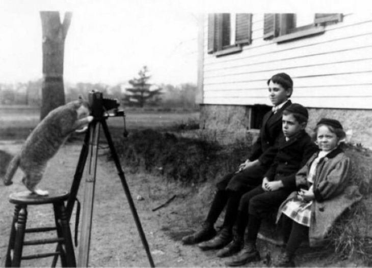 Historical Photos "This Photograph Was Taken In November 1909. It Shows Three Members Of The Payro Family Being “Photographed” By Their Cat: Edmund, Age 12, Ernest, Age 8, And Cecilia, Age 5"