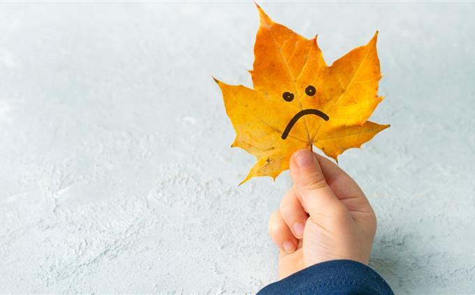 Find the differences in autumn: a leaf with a sad face
