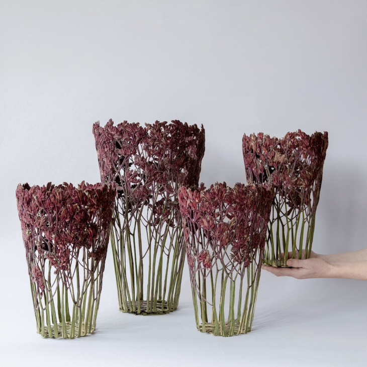 Shannon Clegg Herbarium Vases