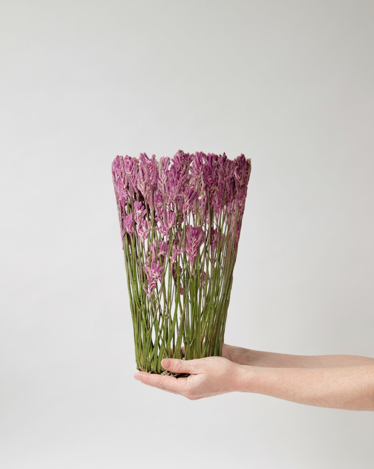 Shannon Clegg Herbarium Vases