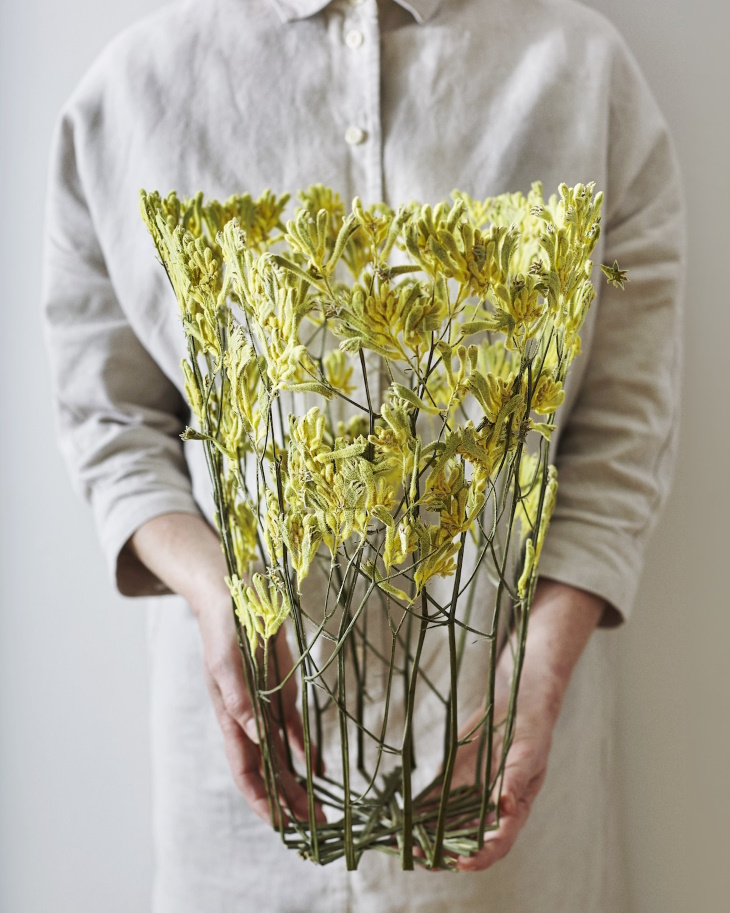 Shannon Clegg Herbarium Vases