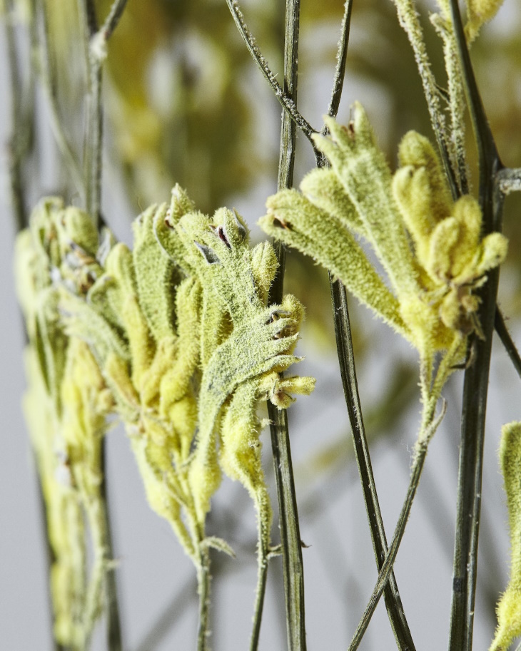 Shannon Clegg Herbarium Vases