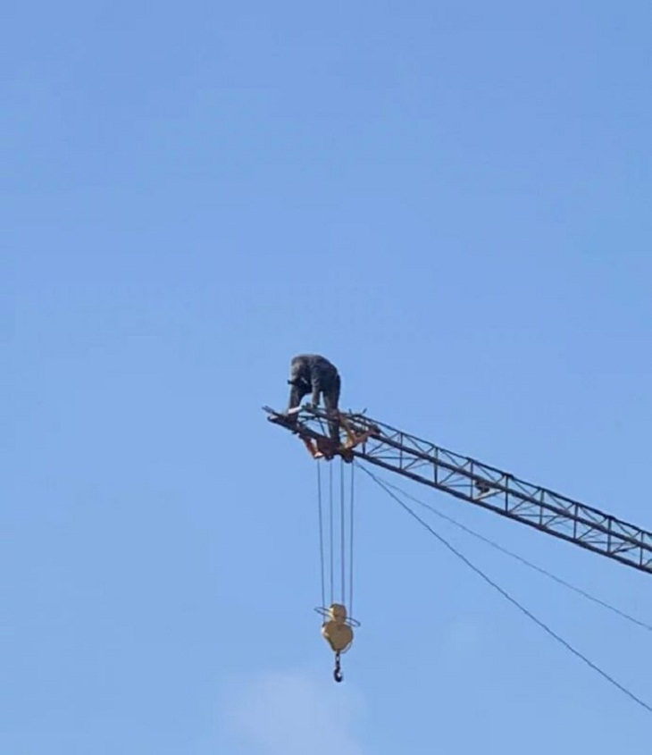 Safety Fails, crane