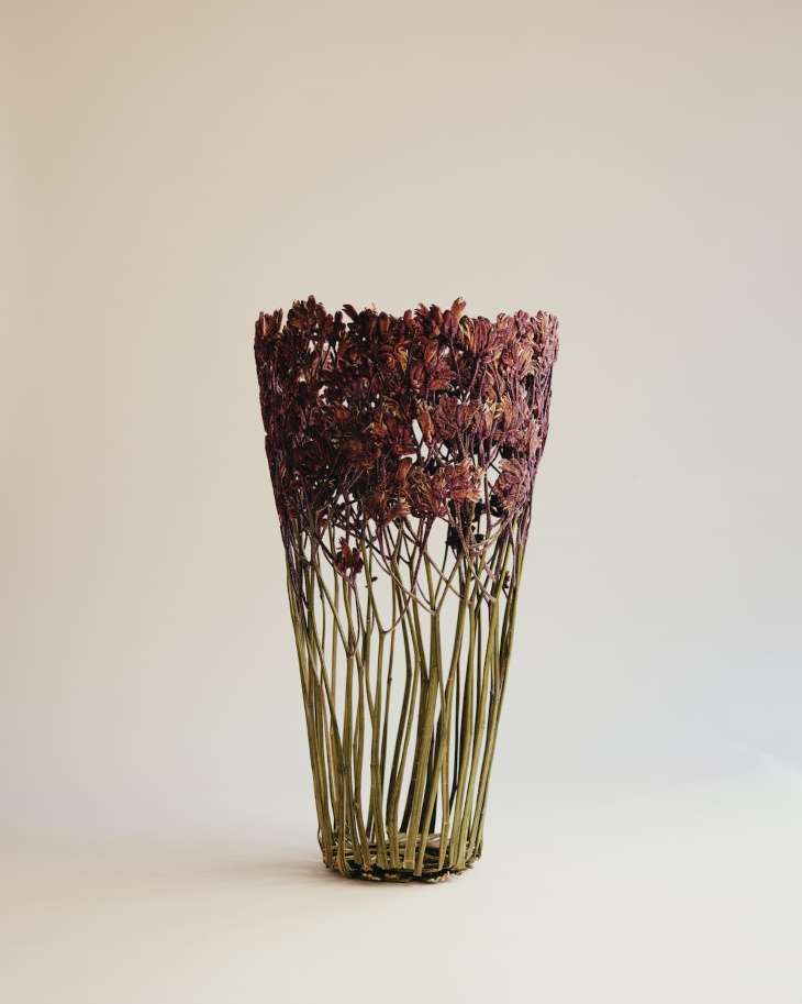 Shannon Clegg Herbarium Vases