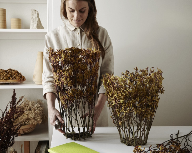 Shannon Clegg Herbarium Vases