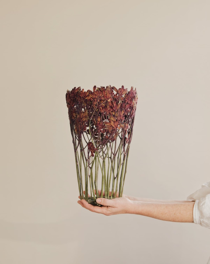 Shannon Clegg Herbarium Vases