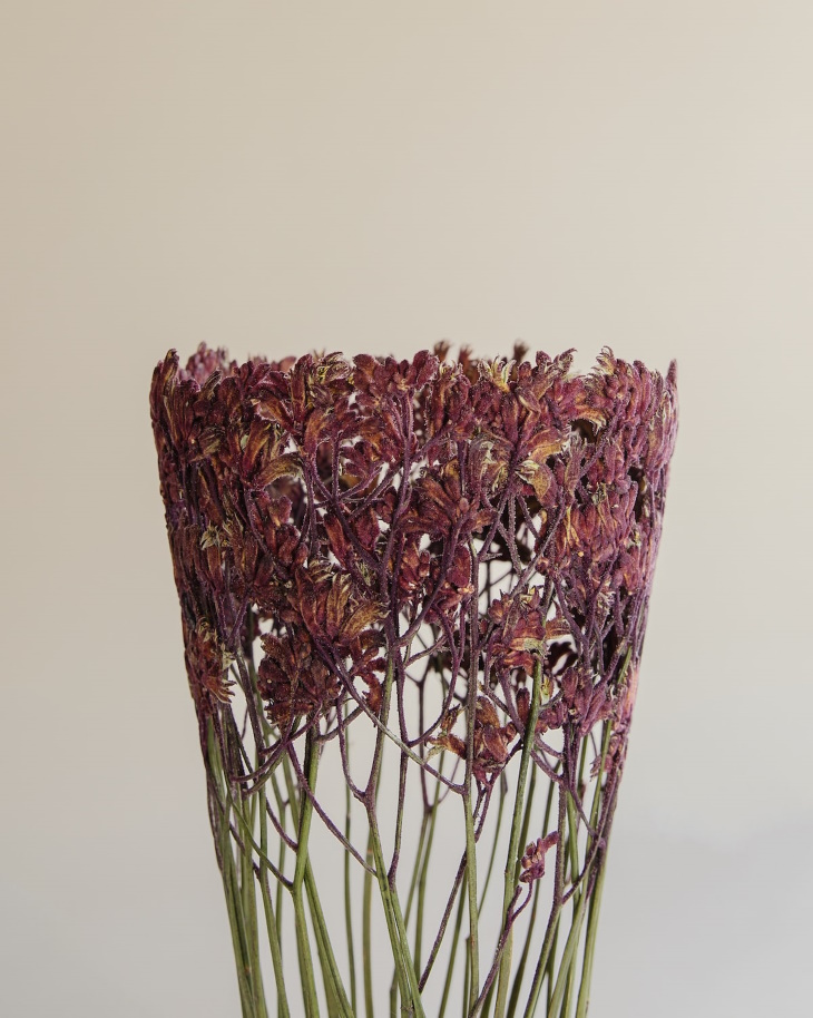 Shannon Clegg Herbarium Vases