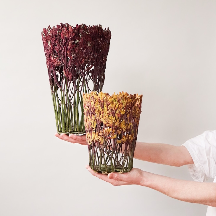 Shannon Clegg Herbarium Vases