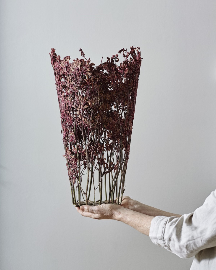 Shannon Clegg Herbarium Vases