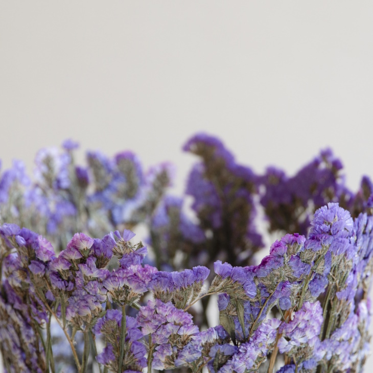 Shannon Clegg Herbarium Vases