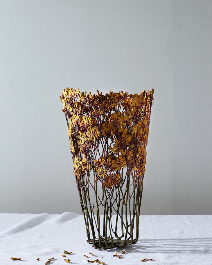 Shannon Clegg Herbarium Vases